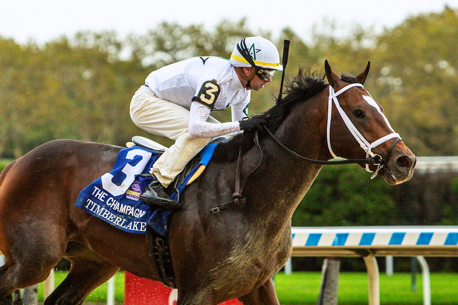 Meet the Contenders 1.25 million Rebel Stakes at Oaklawn Saturday